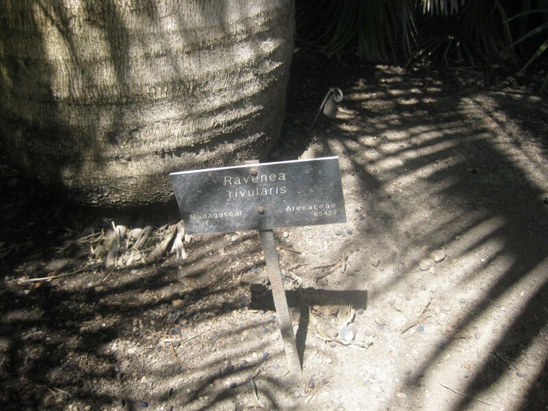 File:IMG 2089 hunt0903.jpg