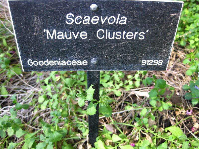 File:IMG 2094 hunt09oct.jpg