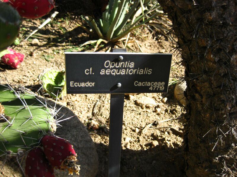 File:IMG 2099 hunt09oct.jpg