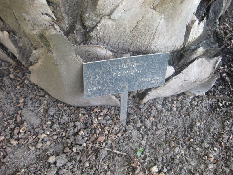 File:IMG 2121 hunt0903.jpg
