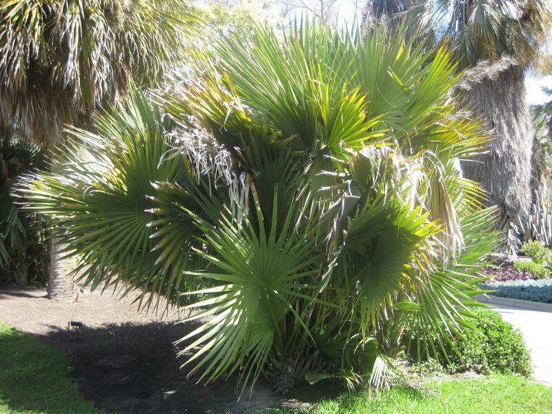 File:IMG 2122 hunt0903.jpg