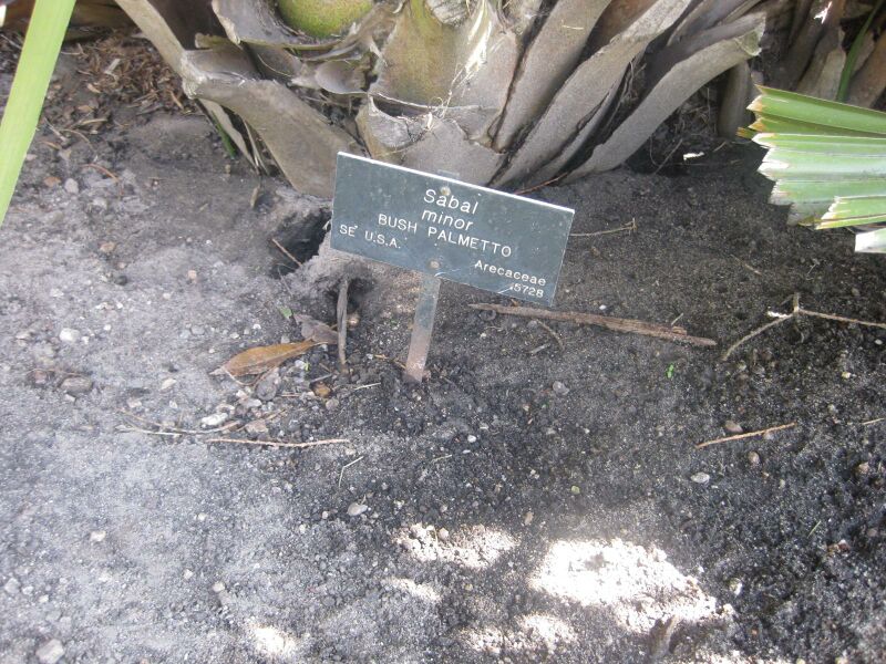 File:IMG 2123 hunt0903.jpg