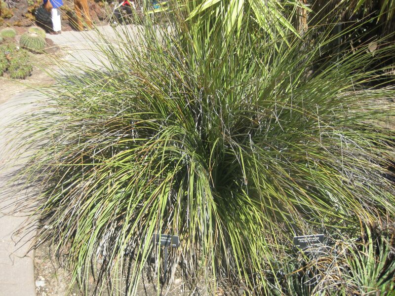 File:IMG 2222 hunt0903.jpg