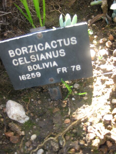 File:IMG 2377 hunt0903.jpg