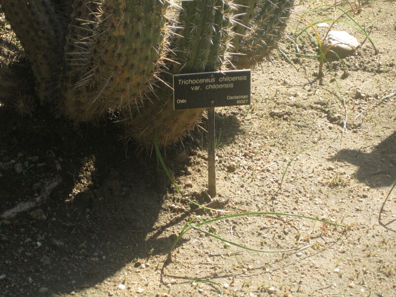 File:IMG 2391 hunt0903.jpg
