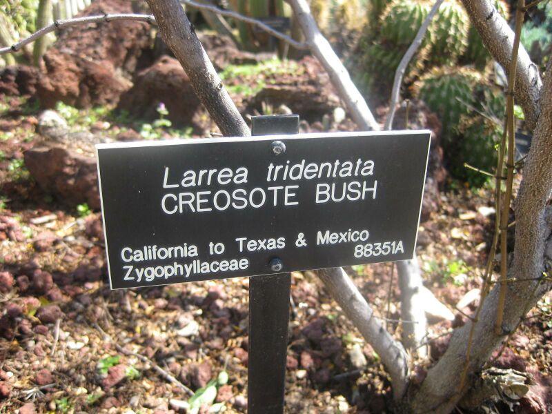 File:IMG 2461 hunt0903.jpg