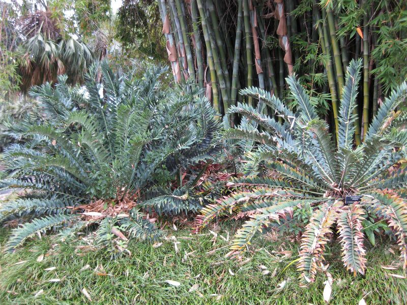 File:IMG 3849 hunt0904.jpg