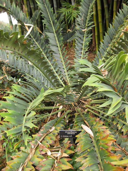 File:IMG 3851 hunt0904.jpg