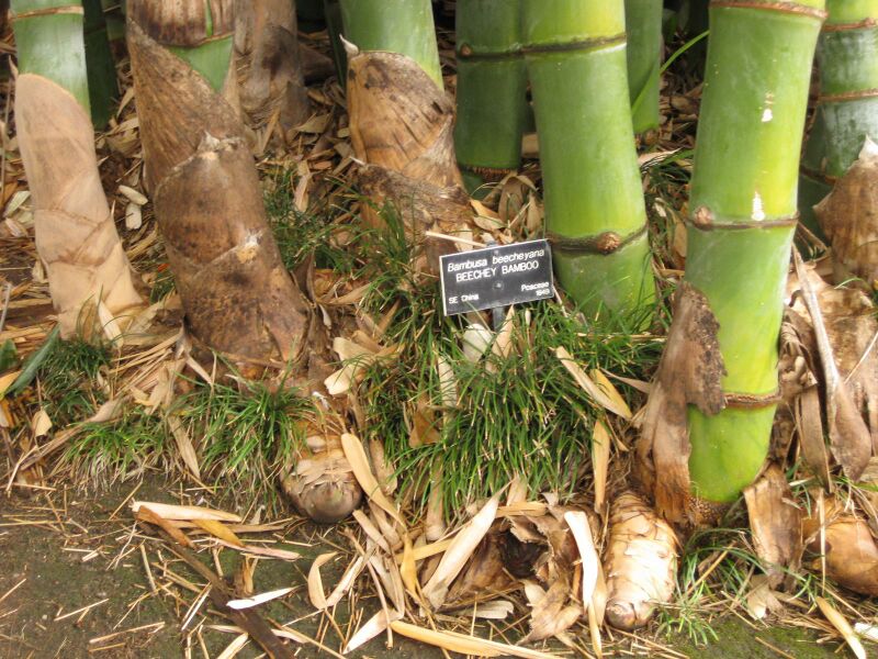 File:IMG 3854 hunt0904.jpg