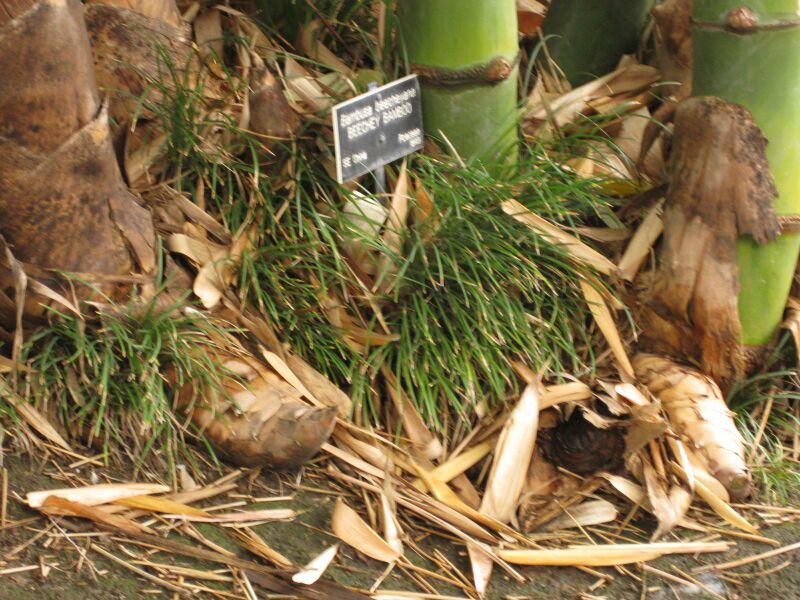 File:IMG 3855 hunt0904.jpg