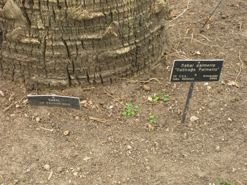 File:IMG 3861 hunt0904.jpg