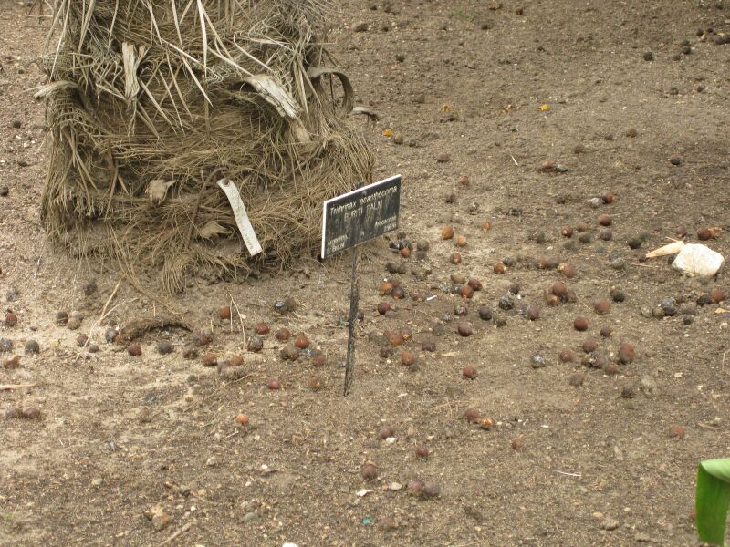 File:IMG 3863 hunt0904.jpg