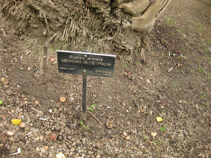 File:IMG 3866 hunt0904.jpg