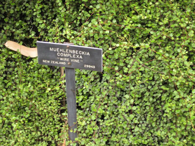 File:IMG 3869 hunt0904.jpg