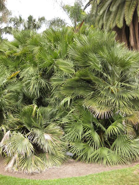 File:IMG 3870 hunt0904.jpg