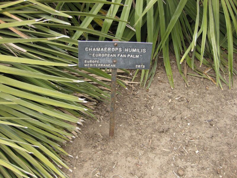 File:IMG 3871 hunt0904.jpg