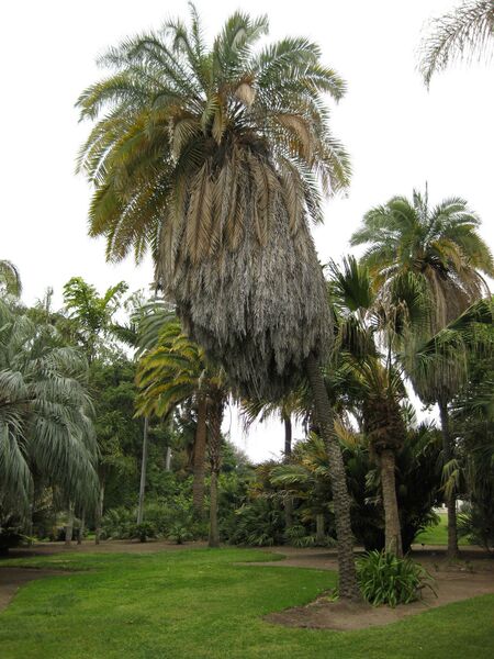 File:IMG 3872 hunt0904.jpg