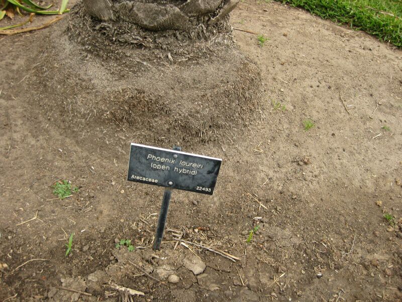 File:IMG 3873 hunt0904.jpg