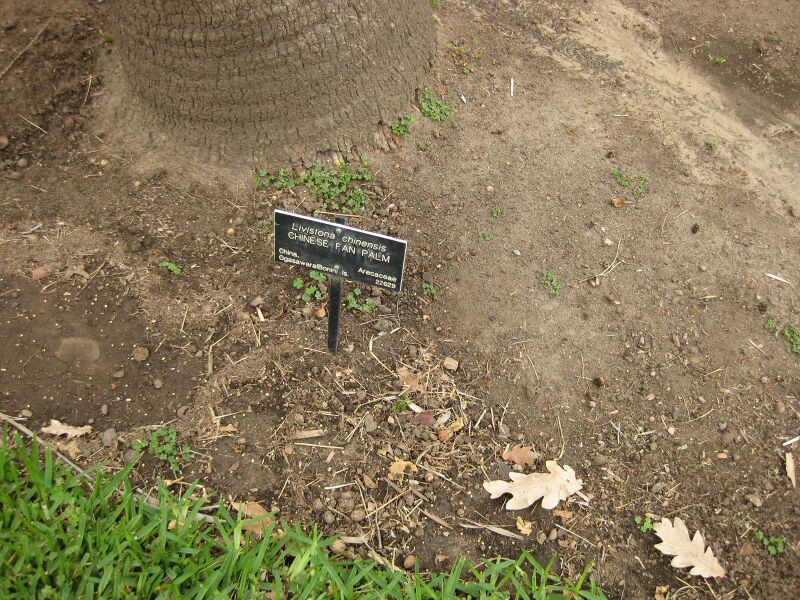 File:IMG 3876 hunt0904.jpg