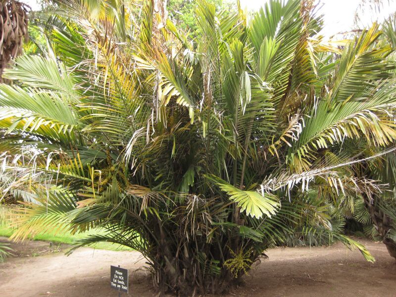 File:IMG 3877 hunt0904.jpg