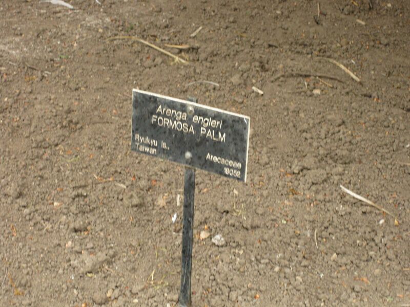 File:IMG 3881 hunt0904.jpg