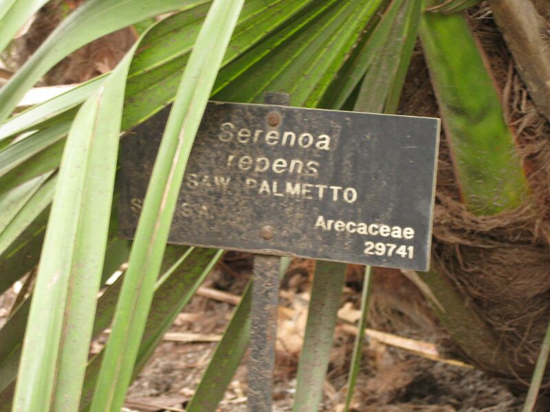 File:IMG 3883 hunt0904.jpg