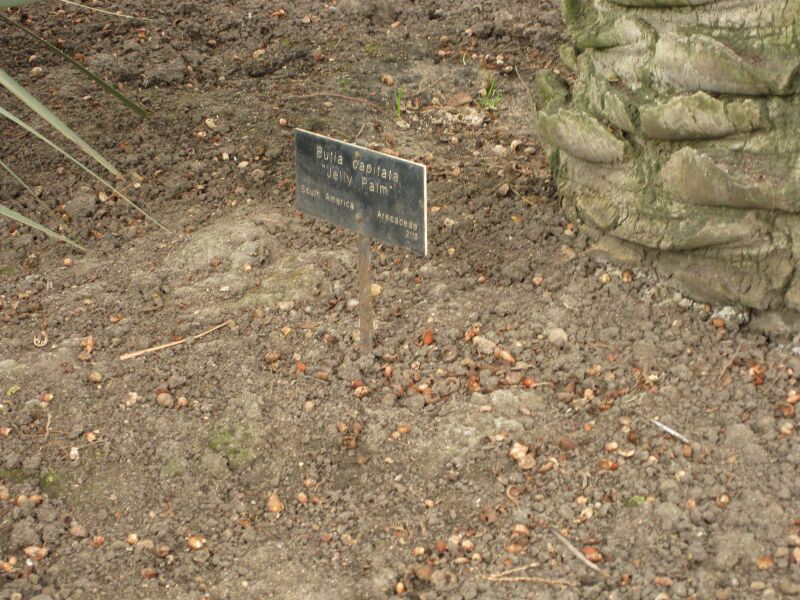 File:IMG 3885 hunt0904.jpg