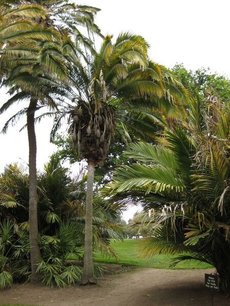 File:IMG 3886 hunt0904.jpg