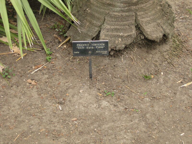 File:IMG 3887 hunt0904.jpg