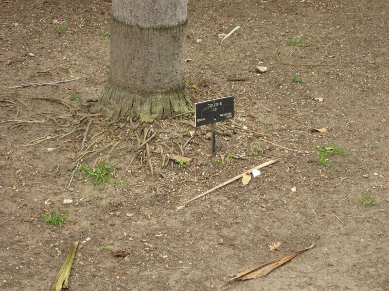 File:IMG 3890 hunt0904.jpg