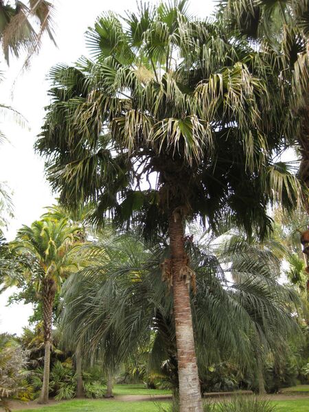 File:IMG 3895 hunt0904.jpg