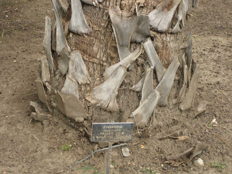 File:IMG 3898 hunt0904.jpg