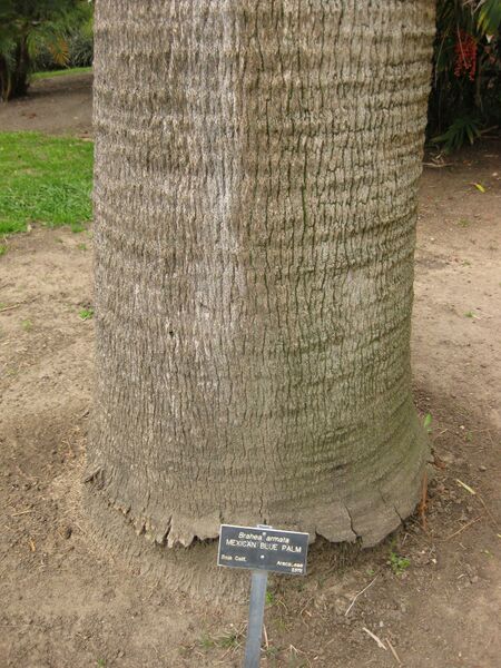 File:IMG 3900 hunt0904.jpg