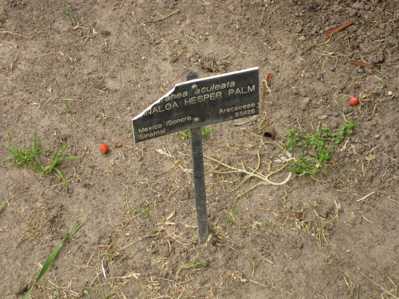 File:IMG 3902 hunt0904.jpg