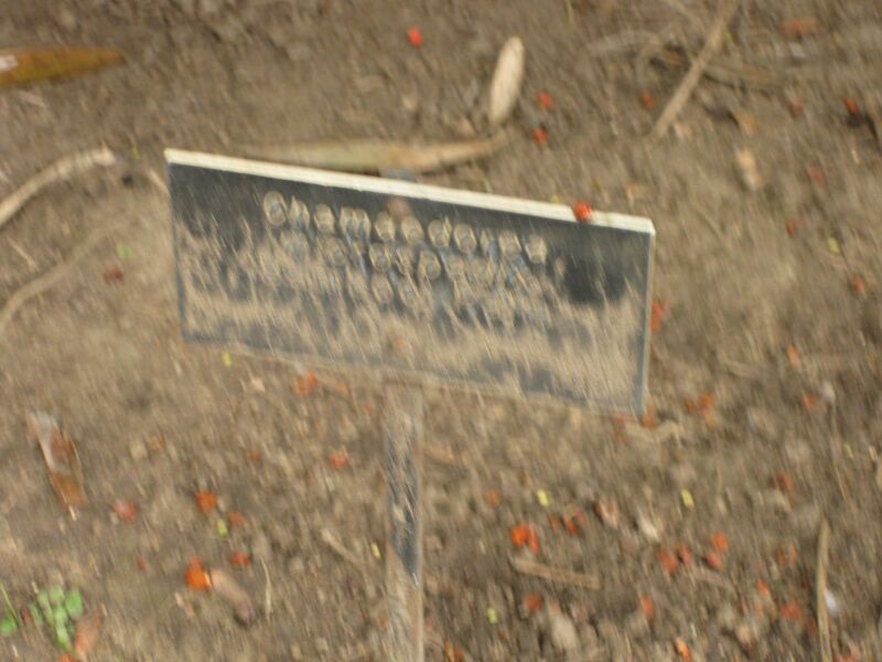 File:IMG 3905 hunt0904.jpg