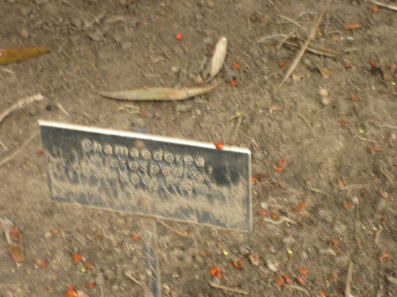 File:IMG 3906 hunt0904.jpg