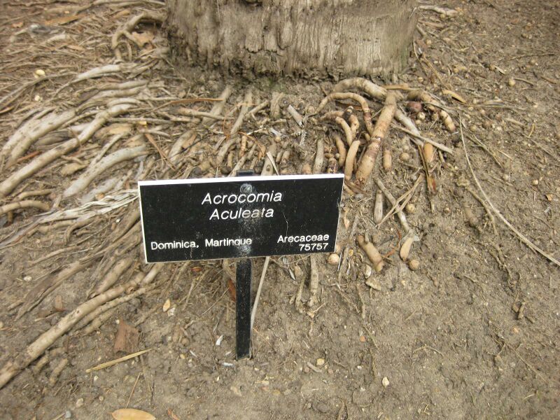 File:IMG 3909 hunt0904.jpg