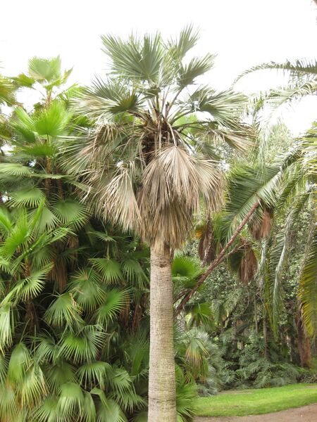 File:IMG 3910 hunt0904.jpg