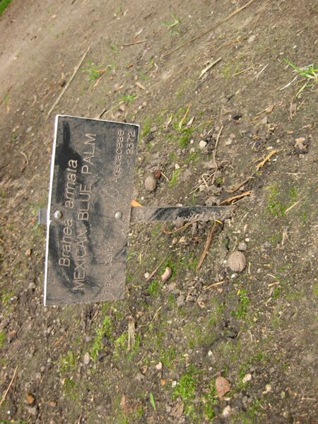 File:IMG 3911 hunt0904.jpg