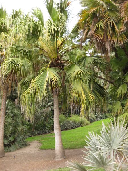 File:IMG 3914 hunt0904.jpg