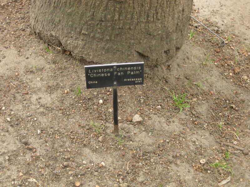 File:IMG 3915 hunt0904.jpg