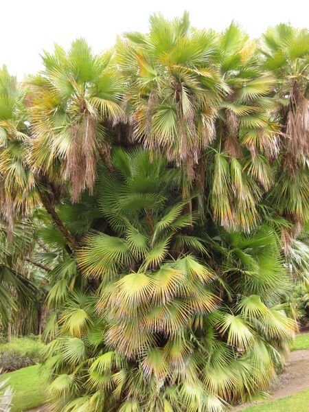 File:IMG 3916 hunt0904.jpg