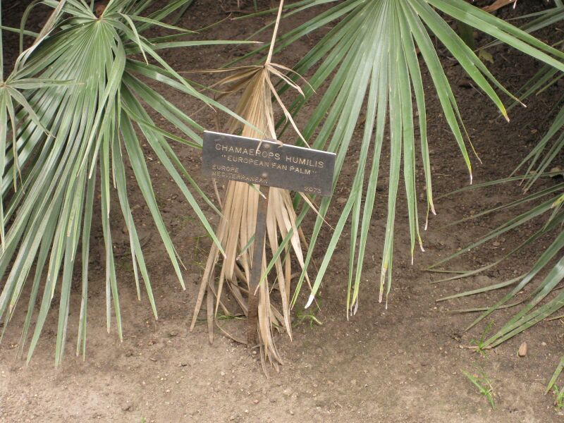 File:IMG 3919 hunt0904.jpg