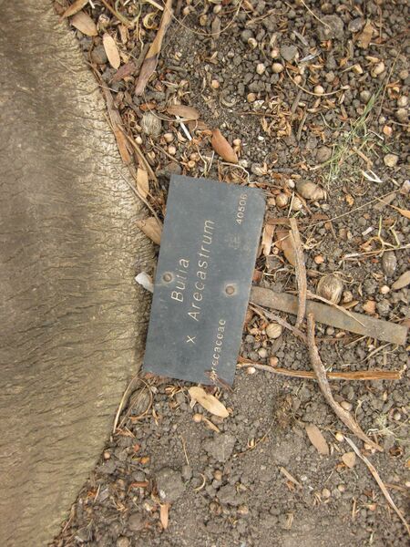 File:IMG 3922 hunt0904.jpg