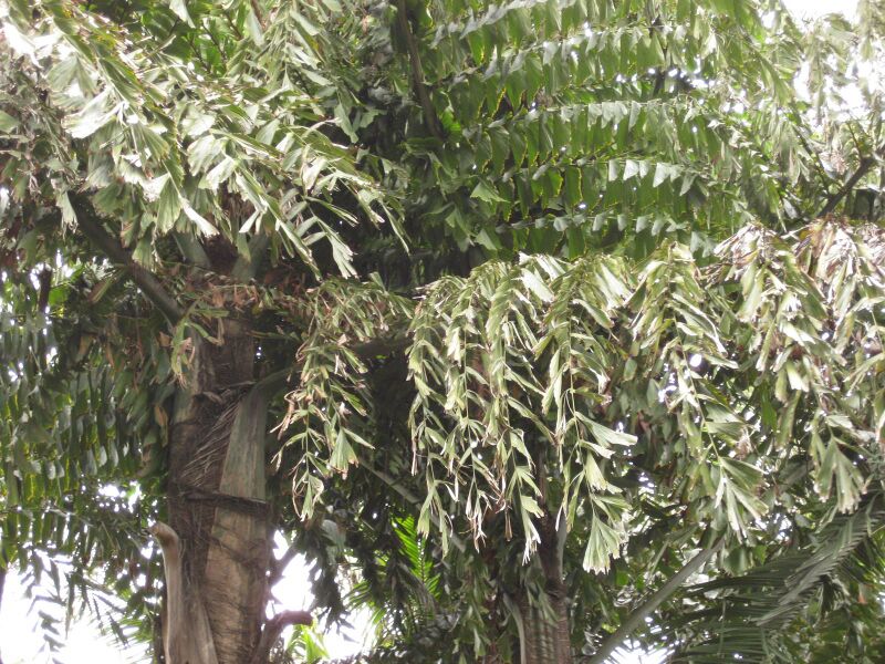 File:IMG 3924 hunt0904.jpg