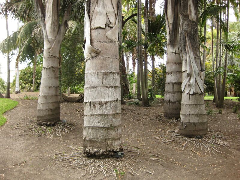 File:IMG 3925 hunt0904.jpg