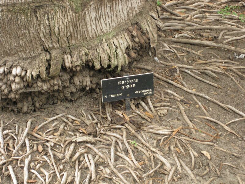 File:IMG 3926 hunt0904.jpg