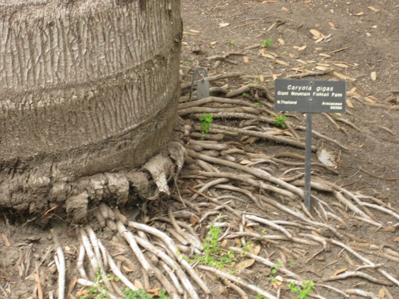 File:IMG 3927 hunt0904.jpg