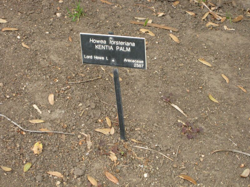 File:IMG 3929 hunt0904.jpg