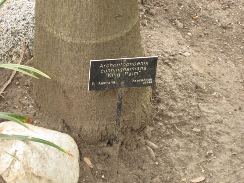 File:IMG 3931 hunt0904.jpg